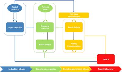 Treatment for Severe Lupus Nephritis: A Cost-Effectiveness Analysis in China